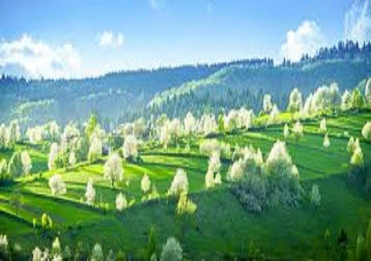 Penzion** Amalka Hriňová Dış mekan fotoğraf