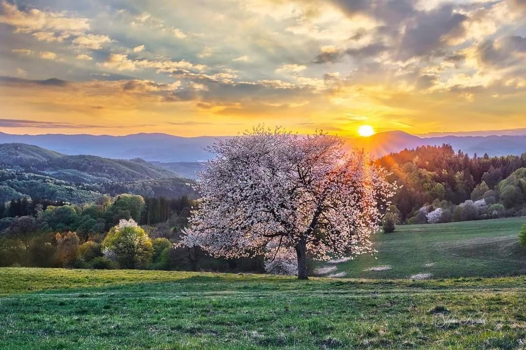 Penzion** Amalka Hriňová Dış mekan fotoğraf