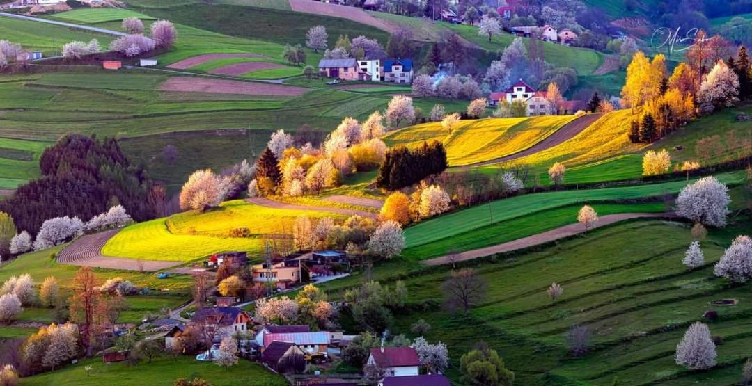 Penzion** Amalka Hriňová Dış mekan fotoğraf